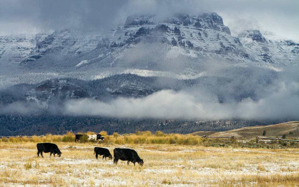 Adobe Stock 208410993